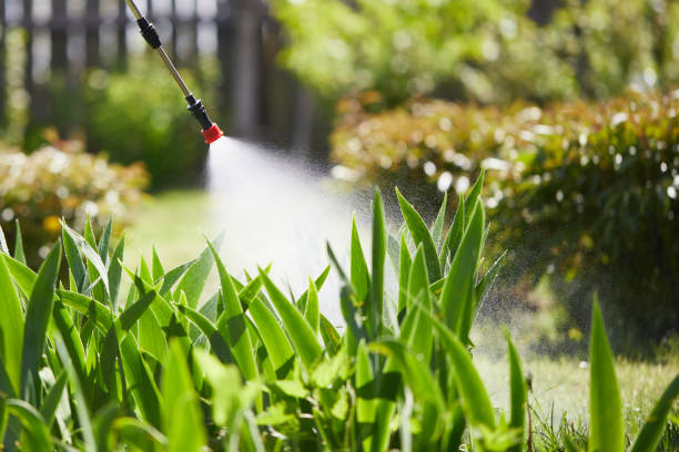 Tamper-Resistant Bait Stations for Rodents in Preston