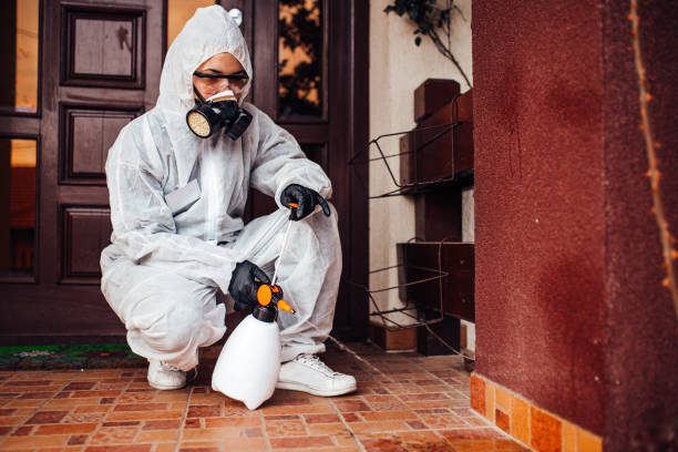 Attic and Crawl Space Rodent Treatment in Preston