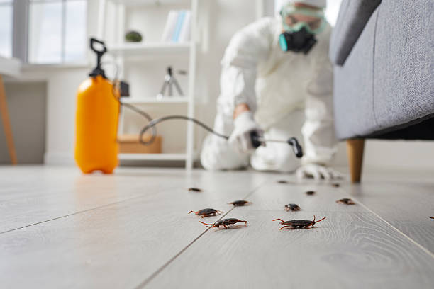 Commercial Rodent Management in Preston